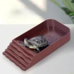 Reptile Ramp Water Bowl Dish Reptile Bathing Pool Feeding Dish With Ramp Aquarium Ornament For Gecko, Snake, Turtle, Lizard Bath 28 kf Sc56aa7501ba943f2bd9dcda84d86661dO