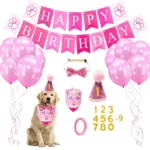 Pink Birthday Set