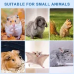 2/4/6Pcs Teeth Molar Stone Natural Mineral Rabbit Guinea Pig Hamster Teeth Grinding Stone Small Pet Care Chew Toys Pets 2025 3 kf Scde07f7ee1d54cc89e65503a26538b55X