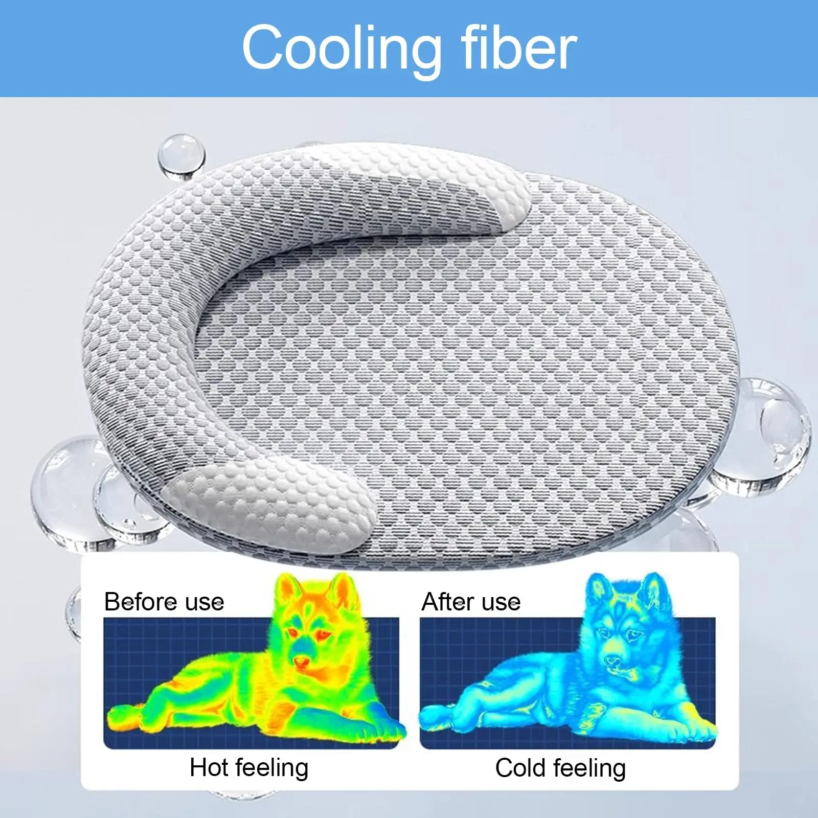 kf Sd303c7a3d1fb4fdab5776ca8ac82e891B