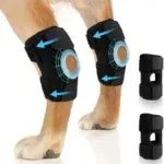 Two knee pads