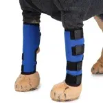 Front knee pads 2