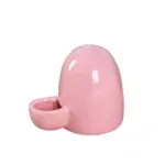 pink-Waterer