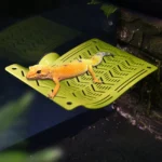 1Pc Reptile Hammock Swing Perch, Durable Plastic Climbing Hanging Bed For Lizards, Geckos, Frogs, Snakes, Spiders - Pet Play 15 kf Sdaf656d0bdff48329ae899b7ff3b0e5cK