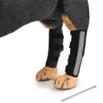 Back knee pads 5