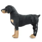 New left hind leg