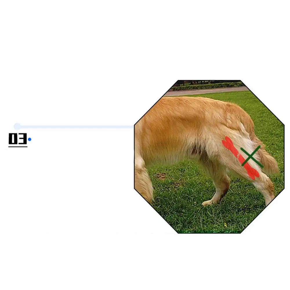 kf Sdbd27d503ef14625b4f438f70d4e6ec1F