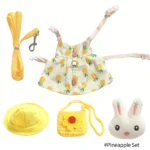 Pineapple Set