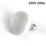 220V 100w