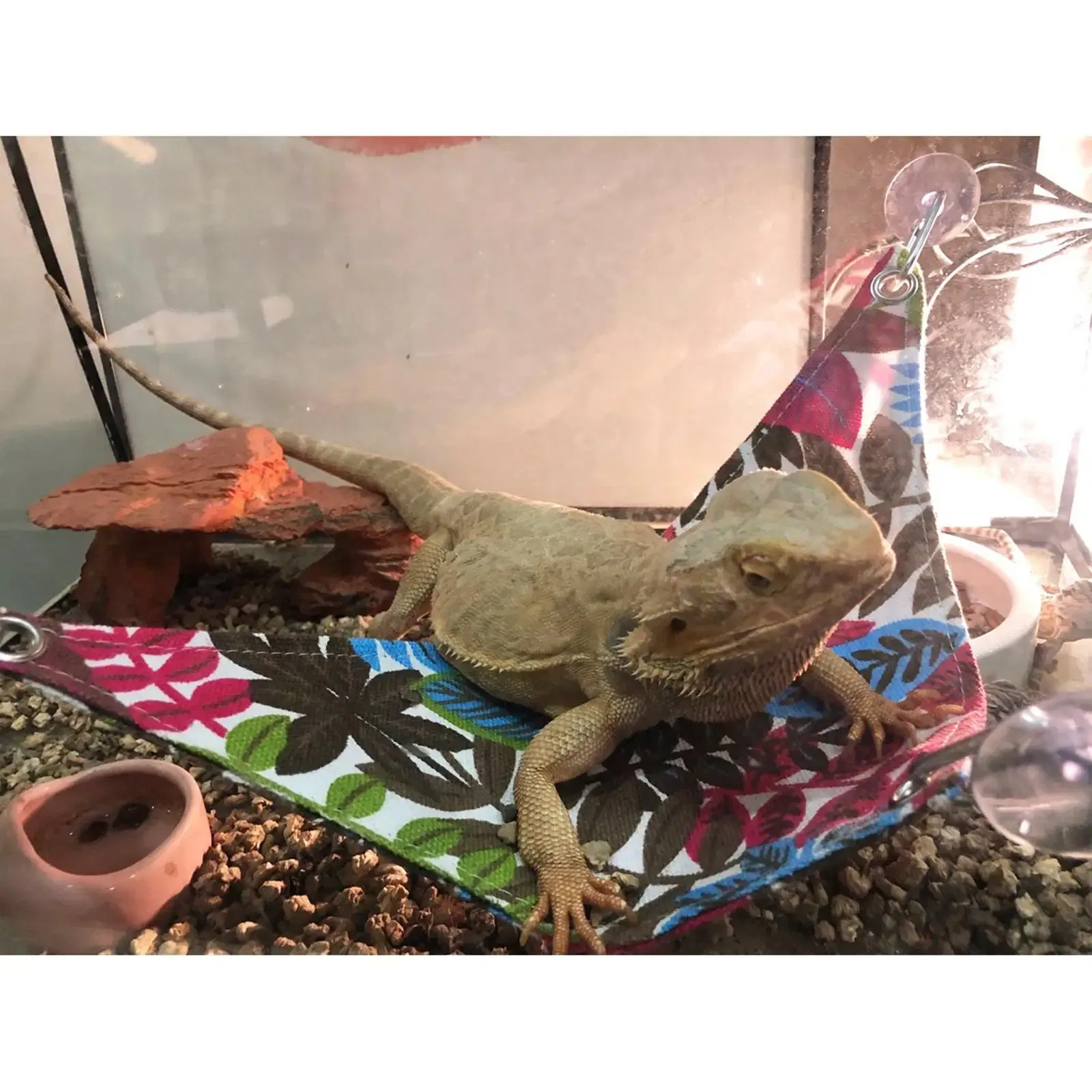 Reptile Hammocks Hammock Bearded Dragon Triangular Hanging Net for Large