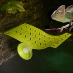 1Pc Reptile Hammock Swing Perch, Durable Plastic Climbing Hanging Bed For Lizards, Geckos, Frogs, Snakes, Spiders - Pet Play 14 kf Sf07c4b0d5966482794e49731bc8ce2d35