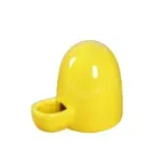 yellow-waterer