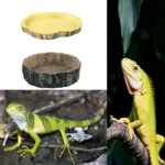 Reptile Bowl Resin Aquarium Pet Reptile Feeder Bowl Basin Food Water Pot Reptile Turtle Tortoise Scorpion Lizard Crabs Supplies 6 kf Sf8e5545804f043d781fe9828815bba3eF